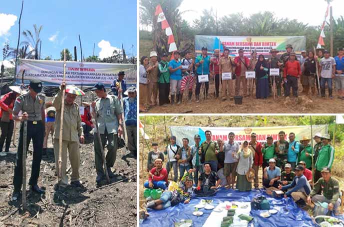BPTP Kaltim Kenalkan Varietas Padi Inpago 5 pada Suku Dayak di Mahakam Ulu